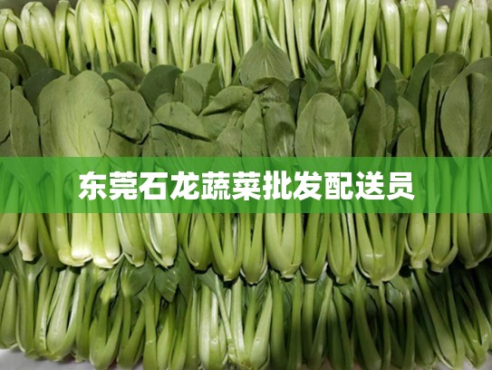东莞石龙蔬菜批发配送员