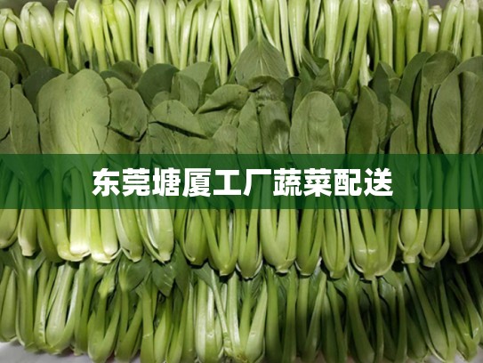 东莞塘厦工厂蔬菜配送