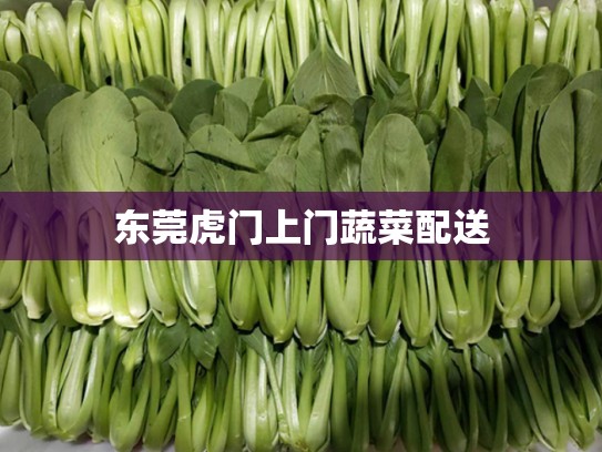 东莞虎门上门蔬菜配送