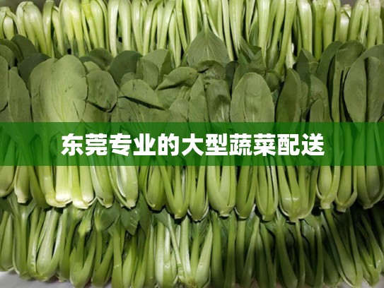 东莞专业的大型蔬菜配送