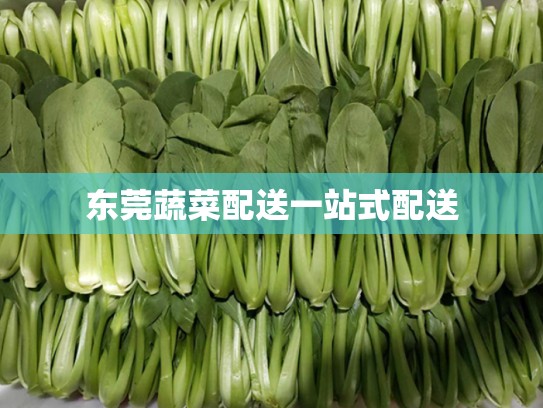 东莞蔬菜配送一站式配送