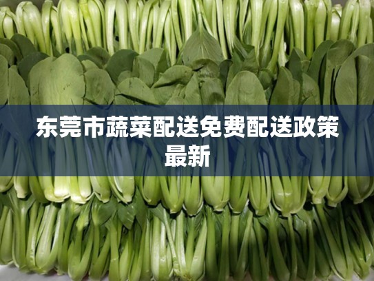 东莞市蔬菜配送免费配送政策最新