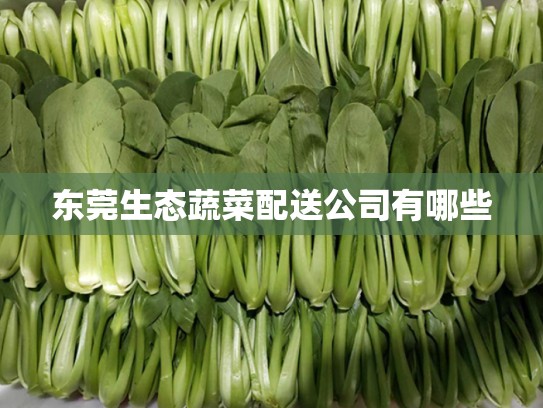 东莞生态蔬菜配送公司有哪些