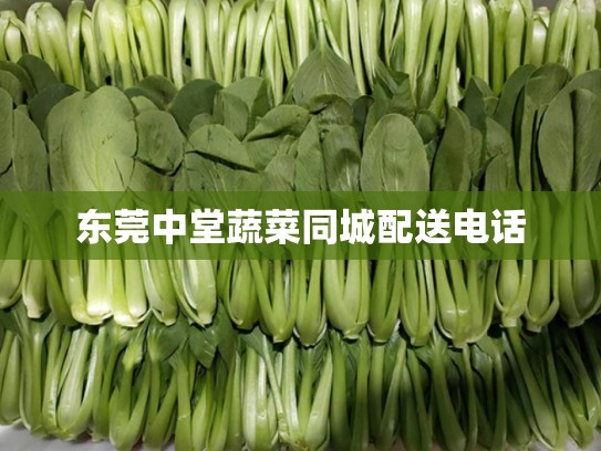 东莞中堂蔬菜同城配送电话