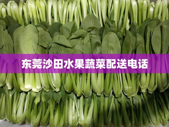 东莞沙田水果蔬菜配送电话