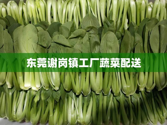 东莞谢岗镇工厂蔬菜配送