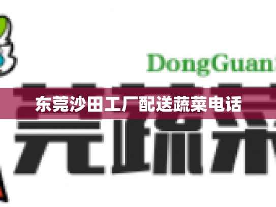 东莞沙田工厂配送蔬菜电话