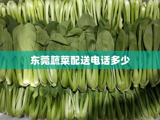 东莞蔬菜配送电话多少