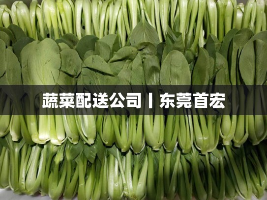 蔬菜配送公司丨东莞首宏