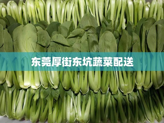 东莞厚街东坑蔬菜配送