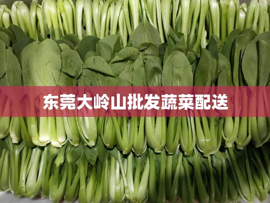 东莞大岭山批发蔬菜配送