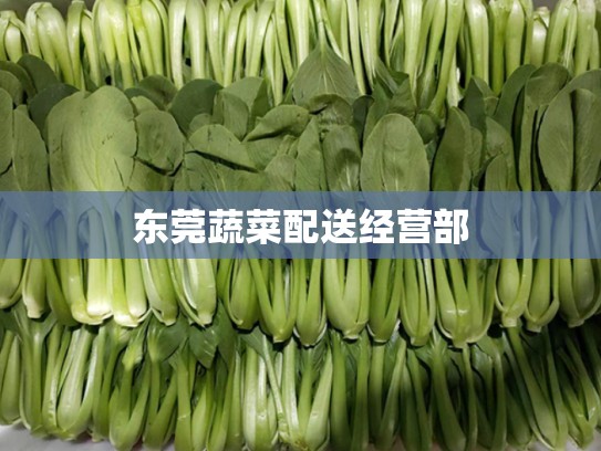 东莞蔬菜配送经营部