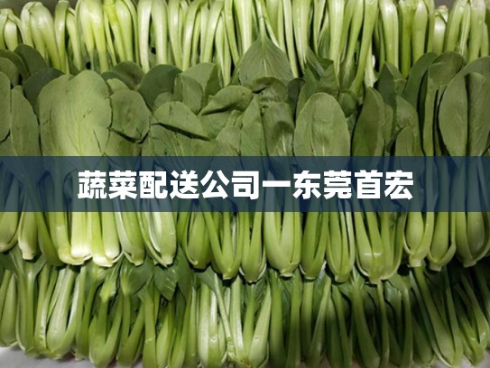 蔬菜配送公司一东莞首宏