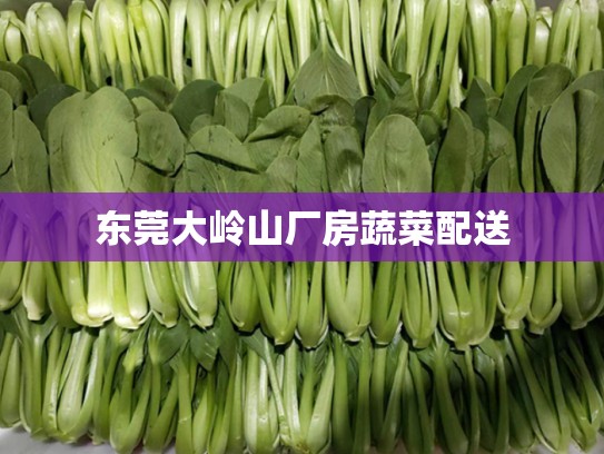 东莞大岭山厂房蔬菜配送