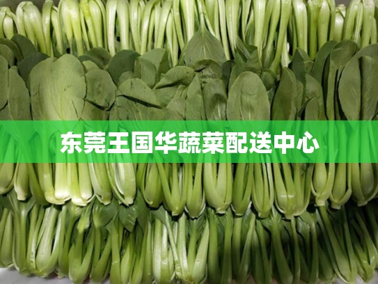 东莞王国华蔬菜配送中心
