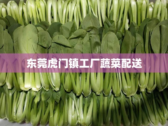 东莞虎门镇工厂蔬菜配送