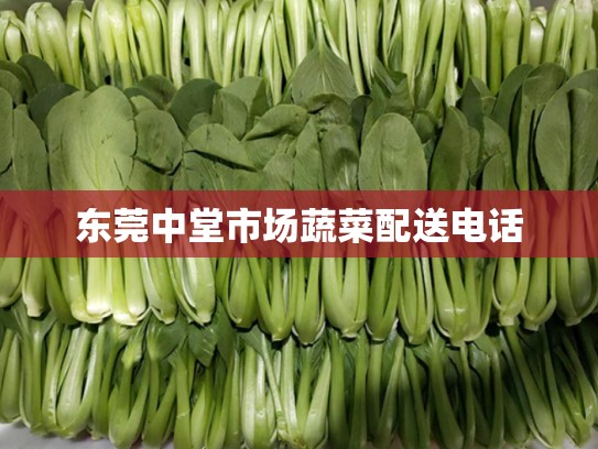 东莞中堂市场蔬菜配送电话