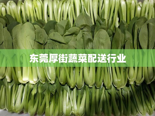 东莞厚街蔬菜配送行业