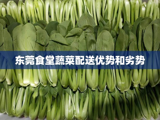 东莞食堂蔬菜配送优势和劣势