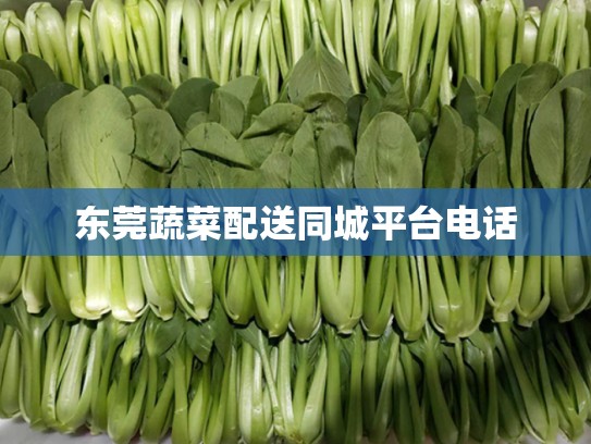 东莞蔬菜配送同城平台电话