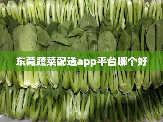 东莞蔬菜配送app平台哪个好
