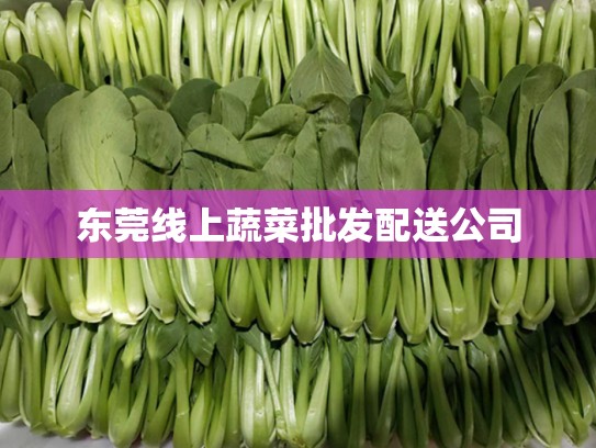 东莞线上蔬菜批发配送公司