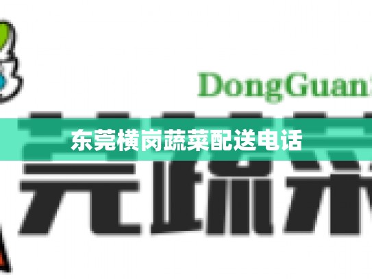 东莞横岗蔬菜配送电话