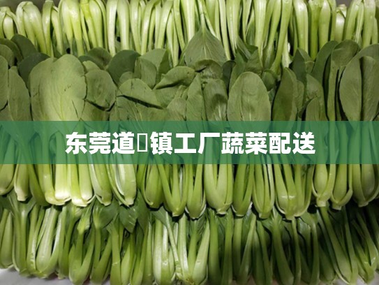 东莞道滘镇工厂蔬菜配送