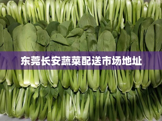 东莞长安蔬菜配送市场地址