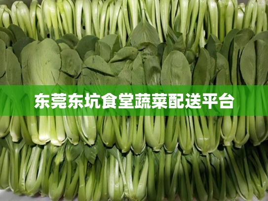 东莞东坑食堂蔬菜配送平台