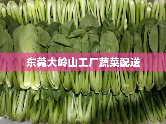 东莞大岭山工厂蔬菜配送