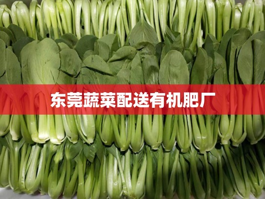 东莞蔬菜配送有机肥厂