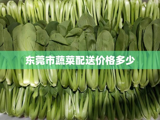 东莞市蔬菜配送价格多少