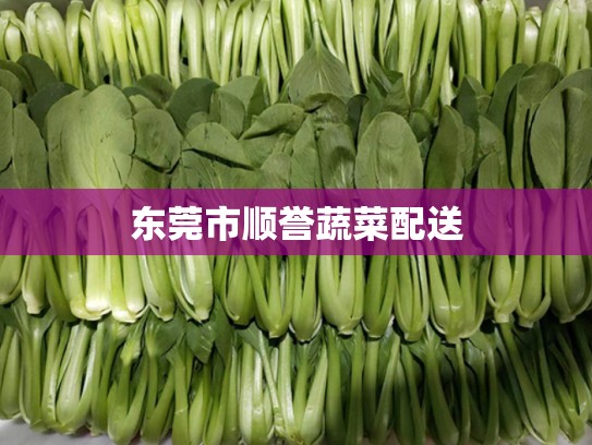 东莞市顺誉蔬菜配送