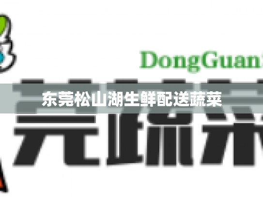 东莞松山湖生鲜配送蔬菜