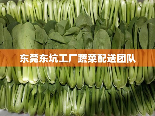 东莞东坑工厂蔬菜配送团队