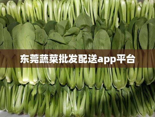 东莞蔬菜批发配送app平台