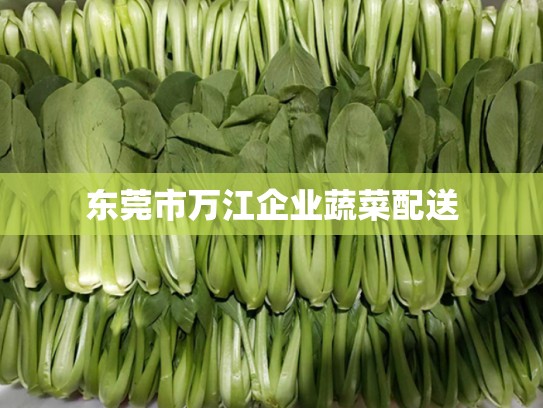 东莞市万江企业蔬菜配送