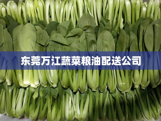 东莞万江蔬菜粮油配送公司