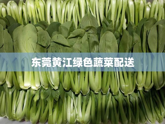 东莞黄江绿色蔬菜配送