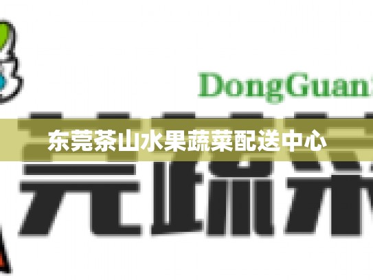 东莞茶山水果蔬菜配送中心