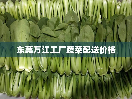 东莞万江工厂蔬菜配送价格