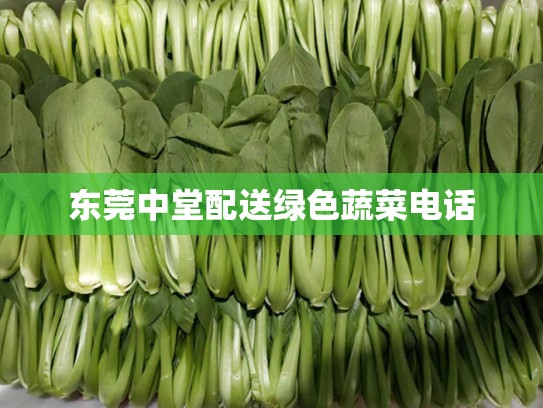 东莞中堂配送绿色蔬菜电话
