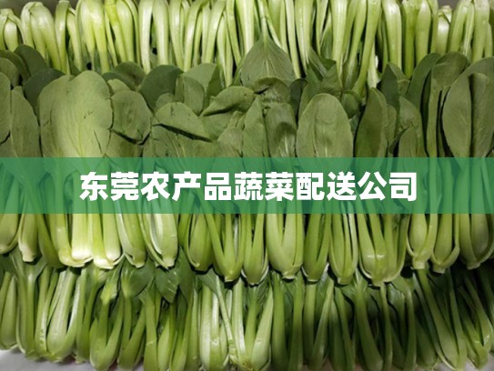 东莞农产品蔬菜配送公司