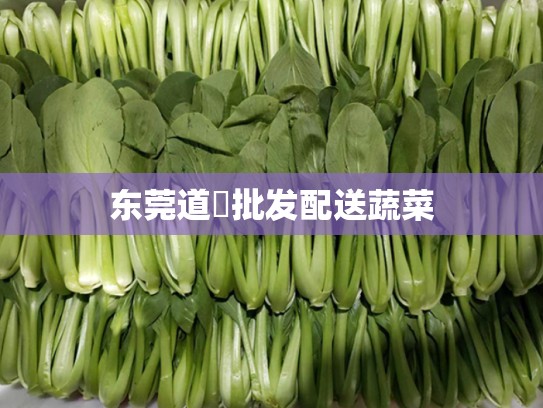 东莞道滘批发配送蔬菜