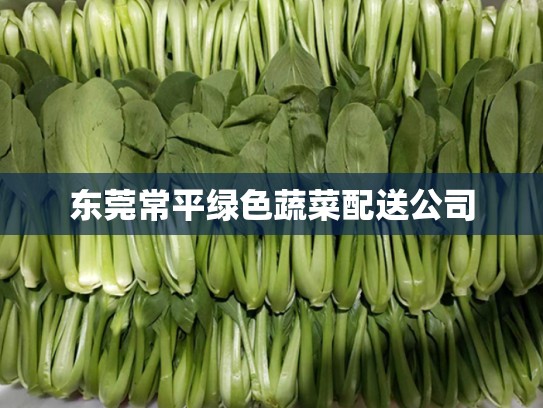 东莞常平绿色蔬菜配送公司