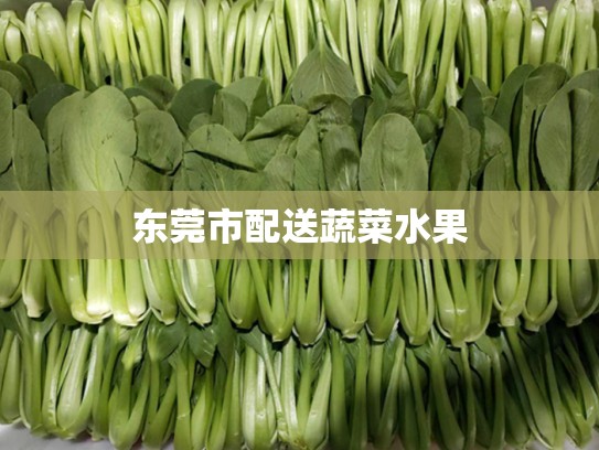 东莞市配送蔬菜水果