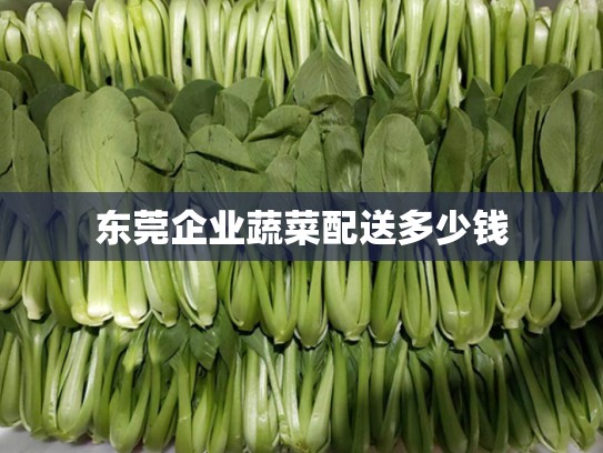 东莞企业蔬菜配送多少钱