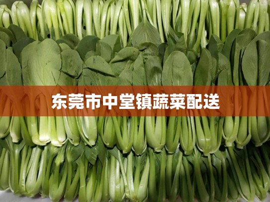 东莞市中堂镇蔬菜配送