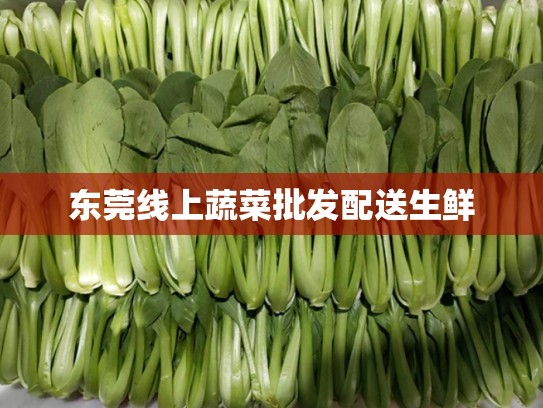 东莞线上蔬菜批发配送生鲜